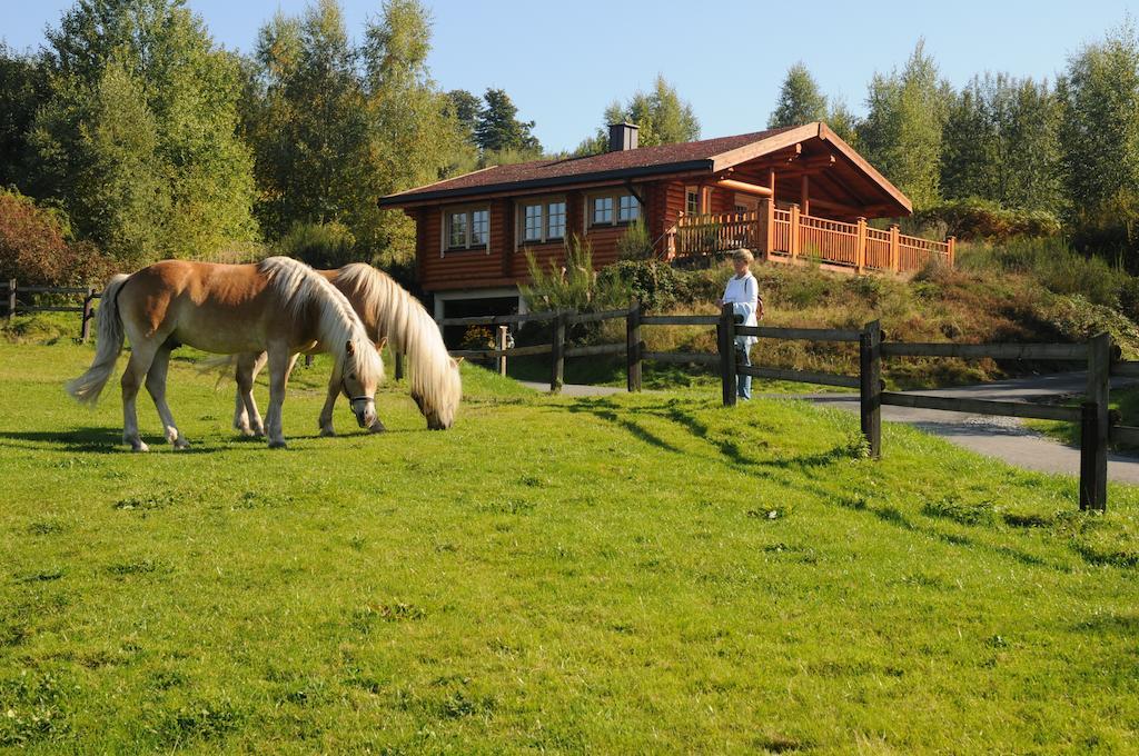 Hotelanlage Country Lodge Arnsberg Exterior photo